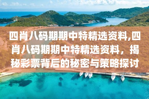四肖八码期期中特精选资料,四肖八码期期中特精选资料，揭秘彩票背后的秘密与策略探讨