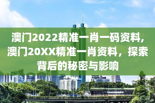 澳门2022精准一肖一码资料,澳门20XX精准一肖资料，探索背后的秘密与影响