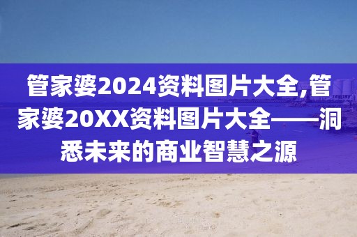 管家婆2024资料图片大全,管家婆20XX资料图片大全——洞悉未来的商业智慧之源