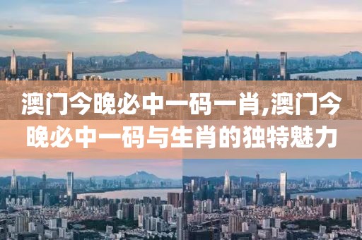 澳门今晚必中一码一肖,澳门今晚必中一码与生肖的独特魅力