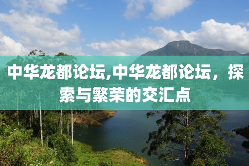 中华龙都论坛,中华龙都论坛，探索与繁荣的交汇点