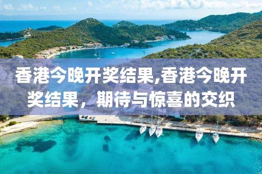 香港今晚开奖结果,香港今晚开奖结果，期待与惊喜的交织