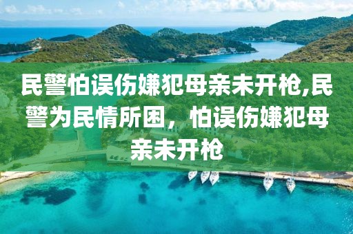 民警怕误伤嫌犯母亲未开枪,民警为民情所困，怕误伤嫌犯母亲未开枪