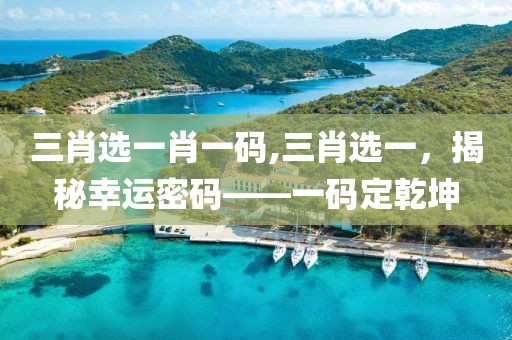 三肖选一肖一码,三肖选一，揭秘幸运密码——一码定乾坤