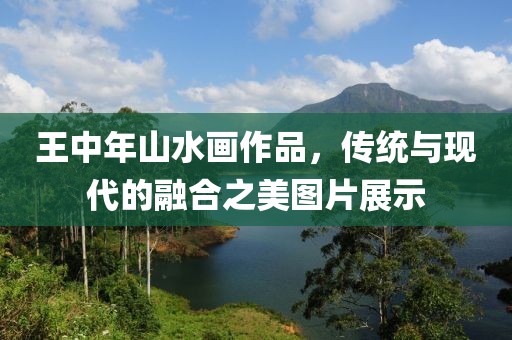 王中年山水画作品，传统与现代的融合之美图片展示