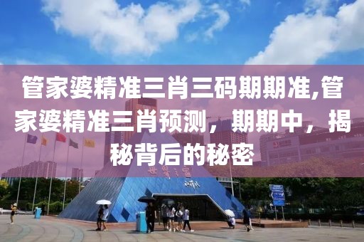管家婆精准三肖三码期期准,管家婆精准三肖预测，期期中，揭秘背后的秘密