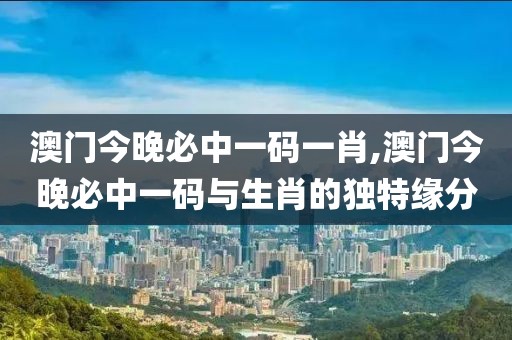 澳门今晚必中一码一肖,澳门今晚必中一码与生肖的独特缘分