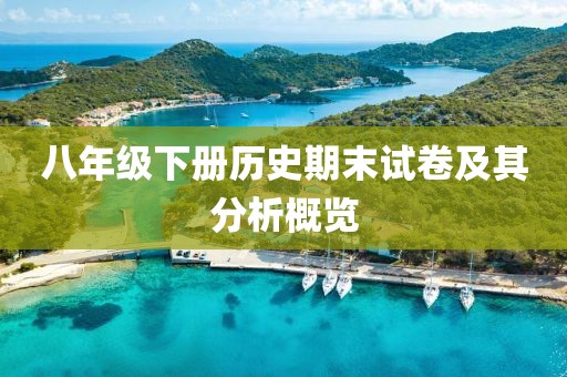 八年级下册历史期末试卷及其分析概览