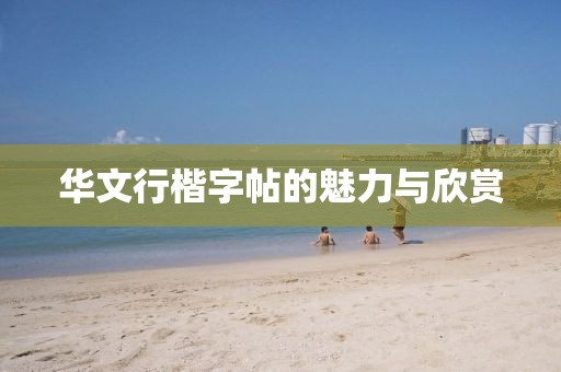华文行楷字帖的魅力与欣赏