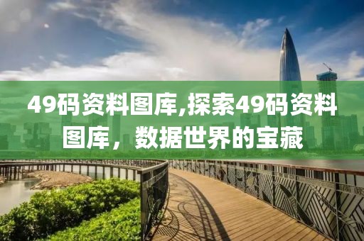 49码资料图库,探索49码资料图库，数据世界的宝藏