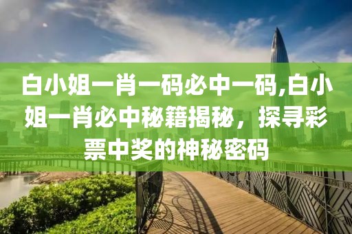 白小姐一肖一码必中一码,白小姐一肖必中秘籍揭秘，探寻彩票中奖的神秘密码