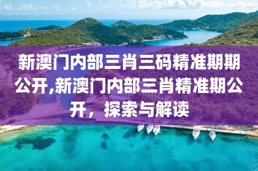 新澳门内部三肖三码精准期期公开,新澳门内部三肖精准期公开，探索与解读
