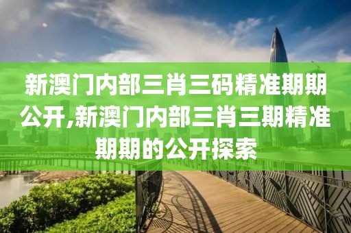 新澳门内部三肖三码精准期期公开,新澳门内部三肖三期精准期期的公开探索