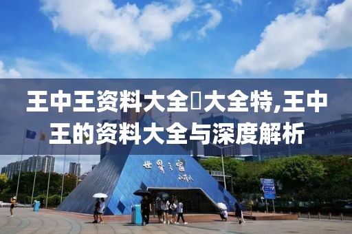 王中王资料大全枓大全特,王中王的资料大全与深度解析