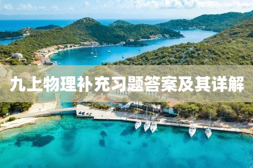 九上物理补充习题答案及其详解