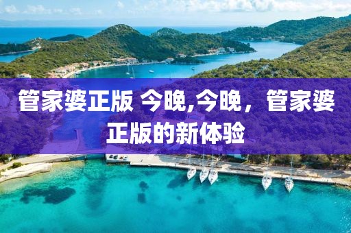 管家婆正版 今晚,今晚，管家婆正版的新体验