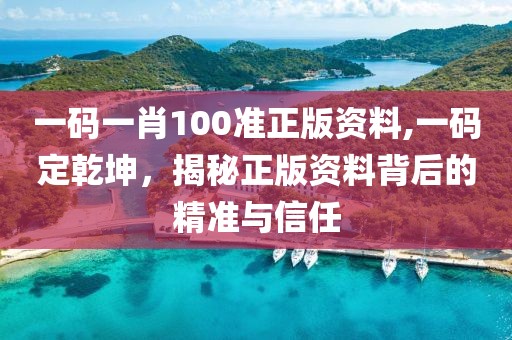 一码一肖100准正版资料,一码定乾坤，揭秘正版资料背后的精准与信任