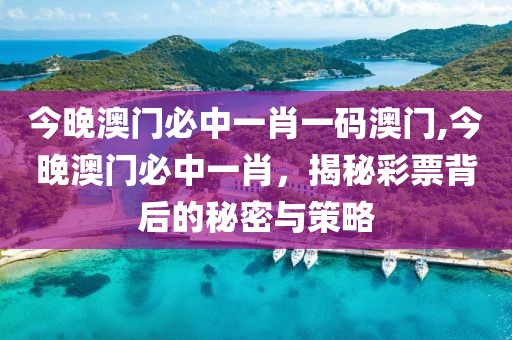 今晚澳门必中一肖一码澳门,今晚澳门必中一肖，揭秘彩票背后的秘密与策略