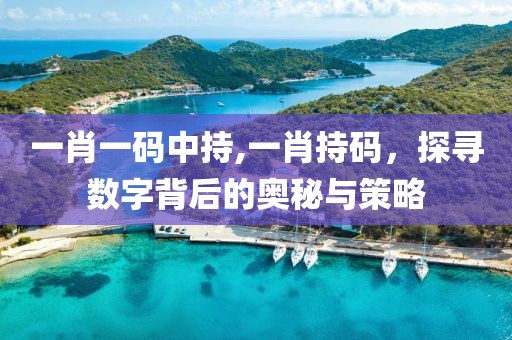 一肖一码中持,一肖持码，探寻数字背后的奥秘与策略