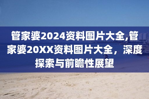 管家婆2024资料图片大全,管家婆20XX资料图片大全，深度探索与前瞻性展望
