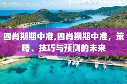 四肖期期中准,四肖期期中准，策略、技巧与预测的未来