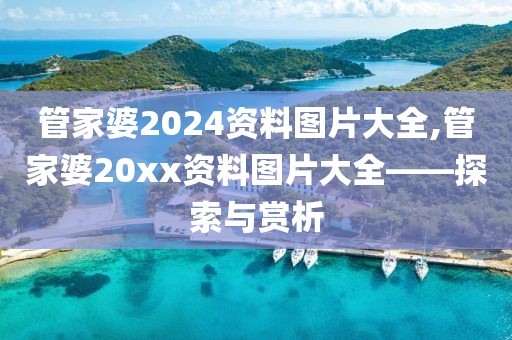 管家婆2024资料图片大全,管家婆20xx资料图片大全——探索与赏析