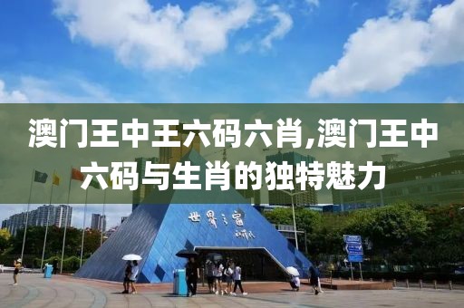 澳门王中王六码六肖,澳门王中六码与生肖的独特魅力