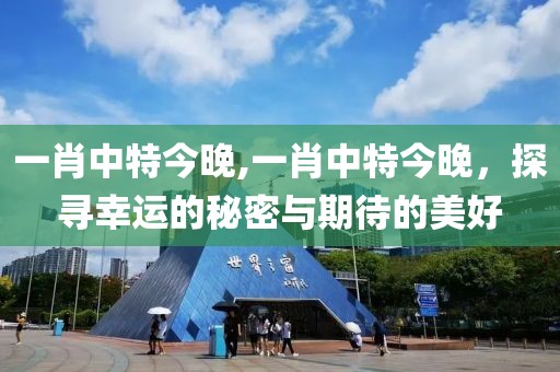 一肖中特今晚,一肖中特今晚，探寻幸运的秘密与期待的美好