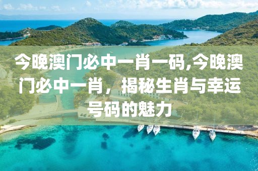 今晚澳门必中一肖一码,今晚澳门必中一肖，揭秘生肖与幸运号码的魅力