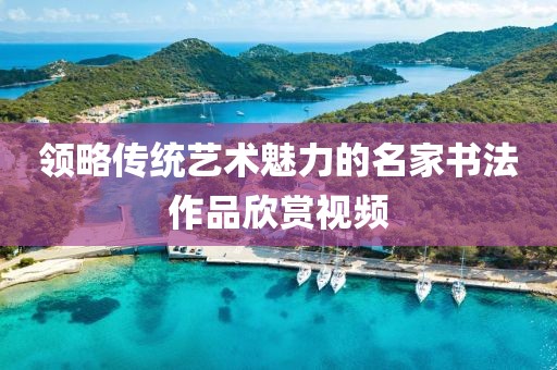 领略传统艺术魅力的名家书法作品欣赏视频