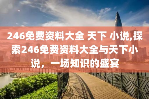246免费资料大全 天下 小说,探索246免费资料大全与天下小说，一场知识的盛宴
