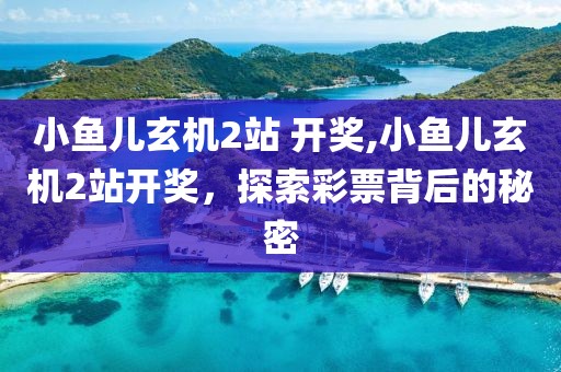 小鱼儿玄机2站 开奖,小鱼儿玄机2站开奖，探索彩票背后的秘密