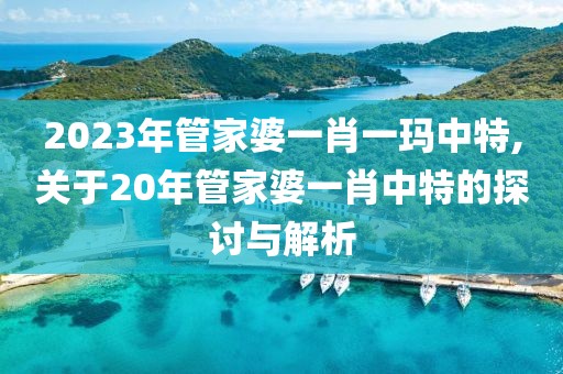 2023年管家婆一肖一玛中特,关于20年管家婆一肖中特的探讨与解析
