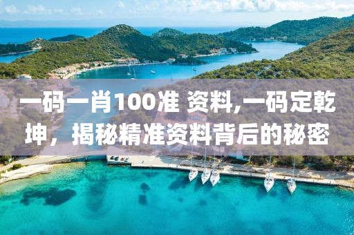 一码一肖100准 资料,一码定乾坤，揭秘精准资料背后的秘密