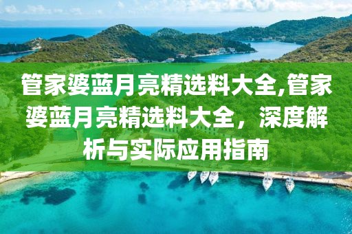 管家婆蓝月亮精选料大全,管家婆蓝月亮精选料大全，深度解析与实际应用指南
