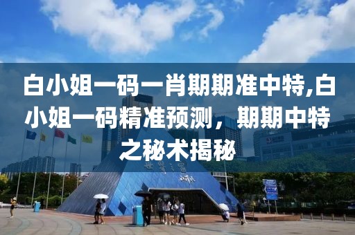 白小姐一码一肖期期准中特,白小姐一码精准预测，期期中特之秘术揭秘
