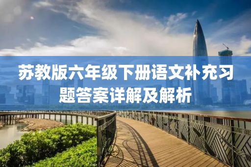 苏教版六年级下册语文补充习题答案详解及解析