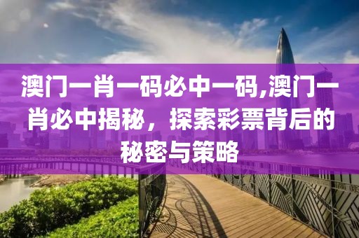 澳门一肖一码必中一码,澳门一肖必中揭秘，探索彩票背后的秘密与策略