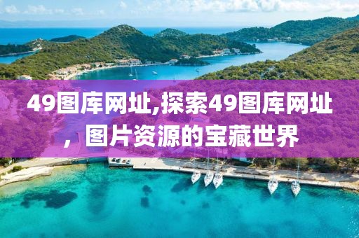 49图库网址,探索49图库网址，图片资源的宝藏世界