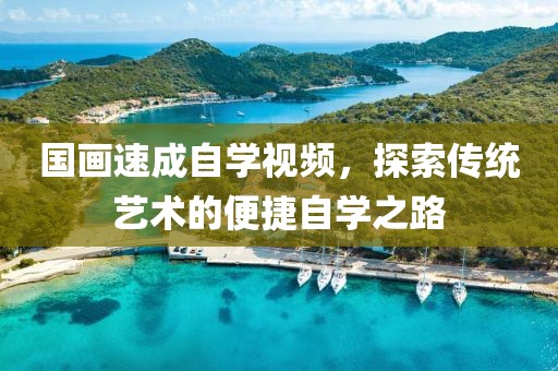 国画速成自学视频，探索传统艺术的便捷自学之路
