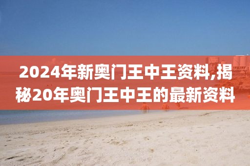 2024年新奥门王中王资料,揭秘20年奥门王中王的最新资料