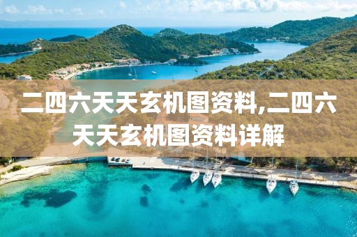 二四六天天玄机图资料,二四六天天玄机图资料详解