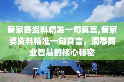 管家婆资料精准一句真言,管家婆资料精准一句真言，洞悉商业智慧的核心秘密
