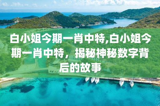 白小姐今期一肖中特,白小姐今期一肖中特，揭秘神秘数字背后的故事