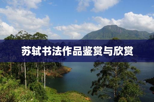 苏轼书法作品鉴赏与欣赏