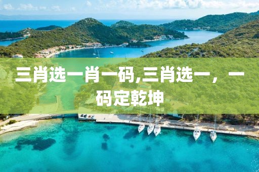 三肖选一肖一码,三肖选一，一码定乾坤