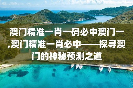 澳门精准一肖一码必中澳门一,澳门精准一肖必中——探寻澳门的神秘预测之道