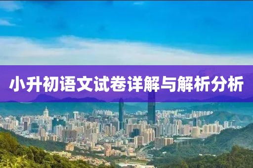 小升初语文试卷详解与解析分析