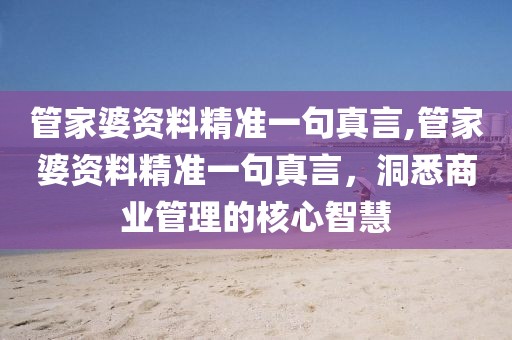 管家婆资料精准一句真言,管家婆资料精准一句真言，洞悉商业管理的核心智慧