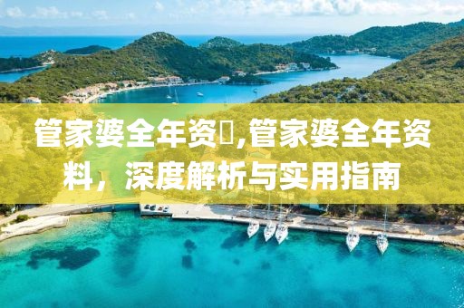 管家婆全年资枓,管家婆全年资料，深度解析与实用指南